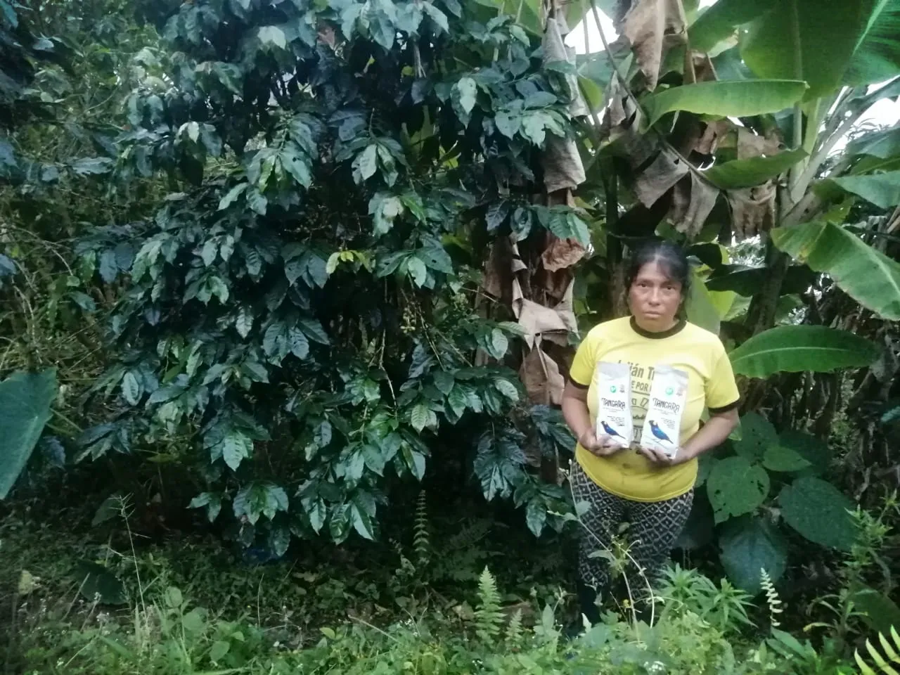 Huánuco: Líder promueve producción de café y conservación de bosques