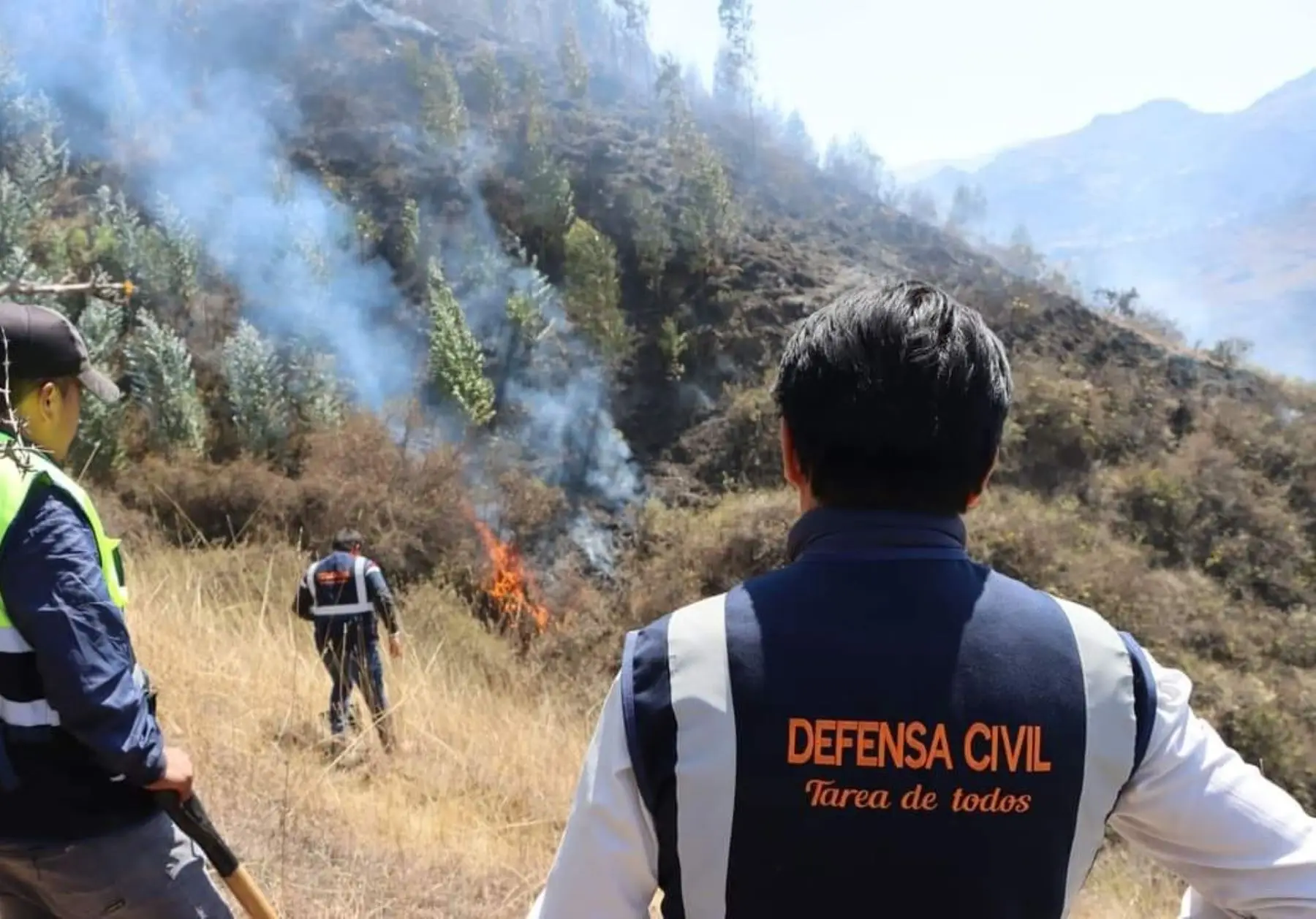Se iniciaron incendios forestales en diversas zonas del país 