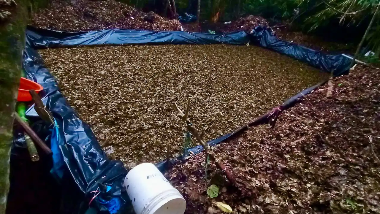 Cuatro detenidos en operativo contra laboratorio de drogas en el Valle del Monzón