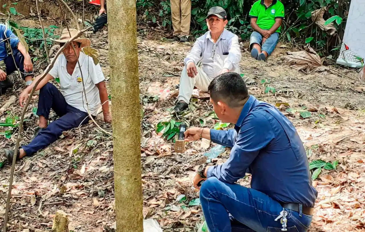Taller de abonamiento impulsa la producción sostenible de piña en Padre Abad