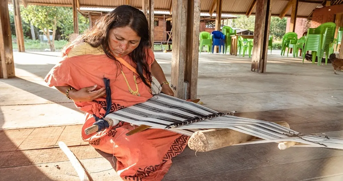 Comunidades nativas pueden postular a fondos para proyectos sostenibles