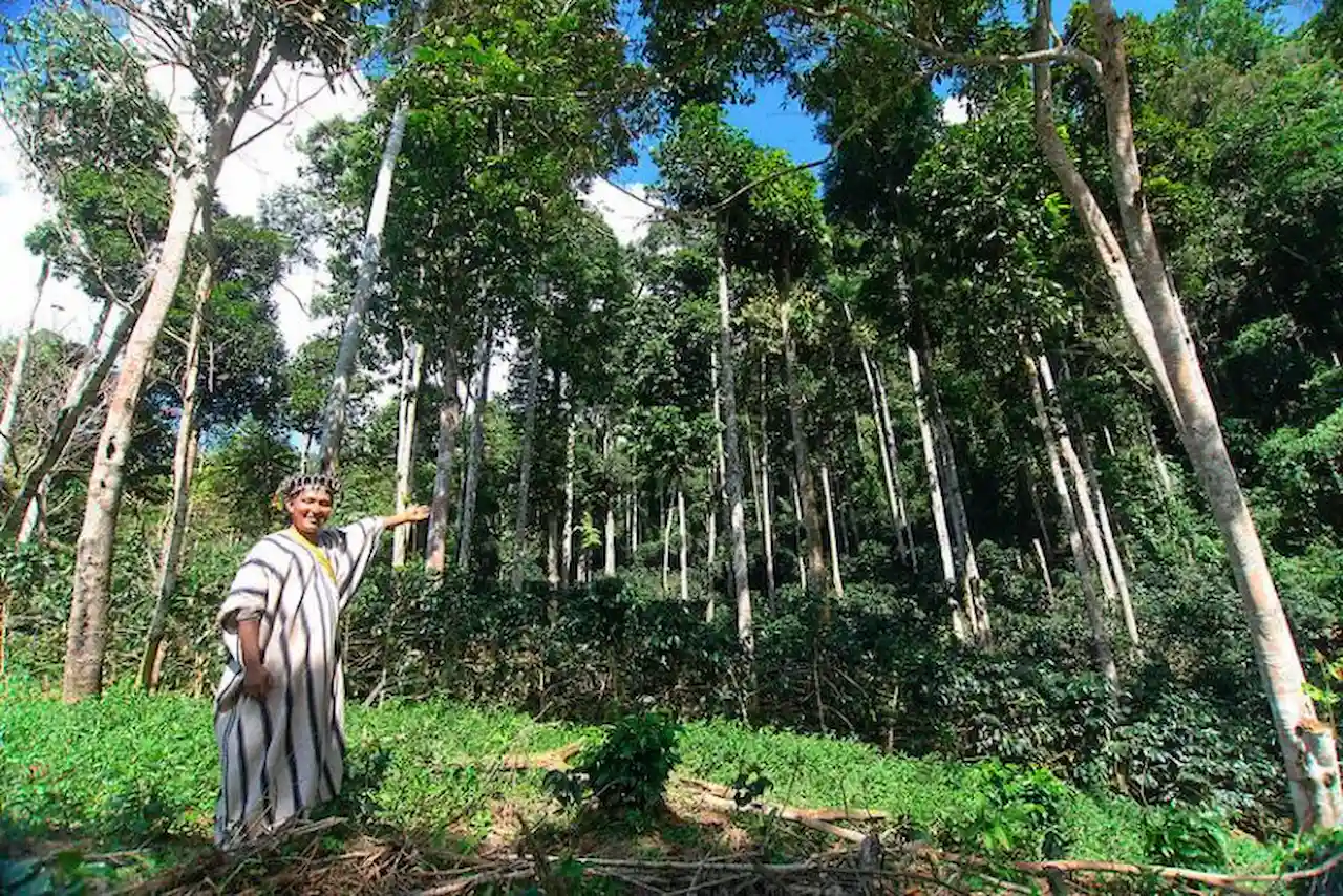 Foro explorará el equilibrio entre desarrollo económico y conservación ambiental en la Amazonía