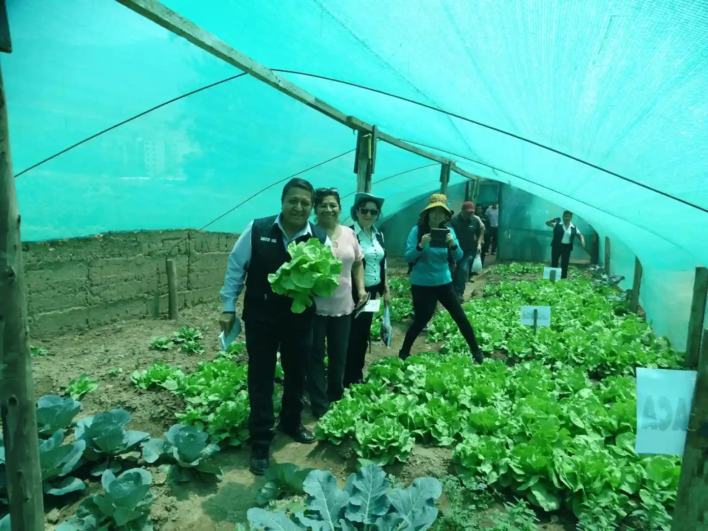 Estudiantes de Huánuco producen hortalizas en biohuerto escolar y promueven la agricultura sostenible