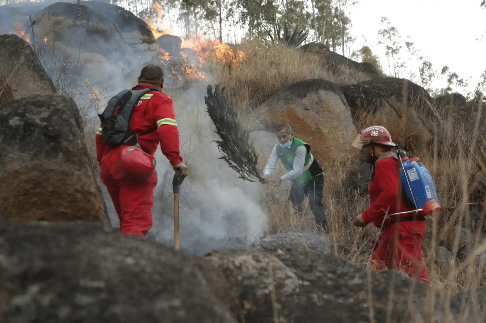 Huánuco enfrenta 122 incendios forestales: Malas prácticas humanas son las principales causas