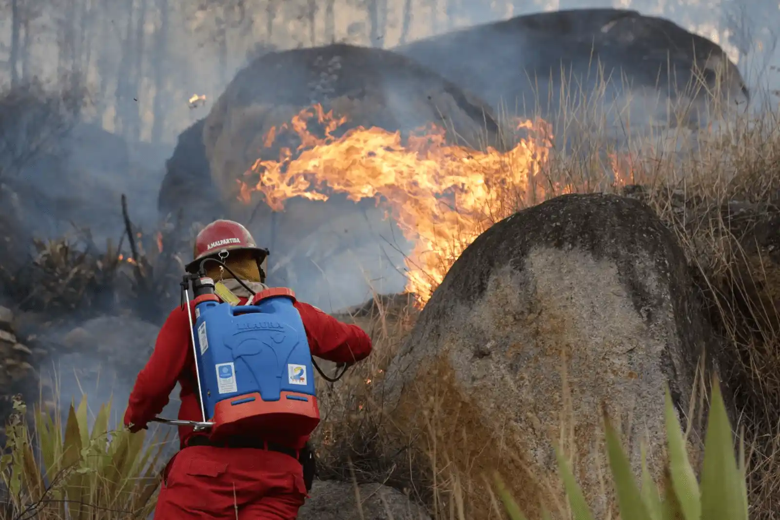 Huánuco enfrenta 122 incendios forestales: Malas prácticas humanas son las principales causas