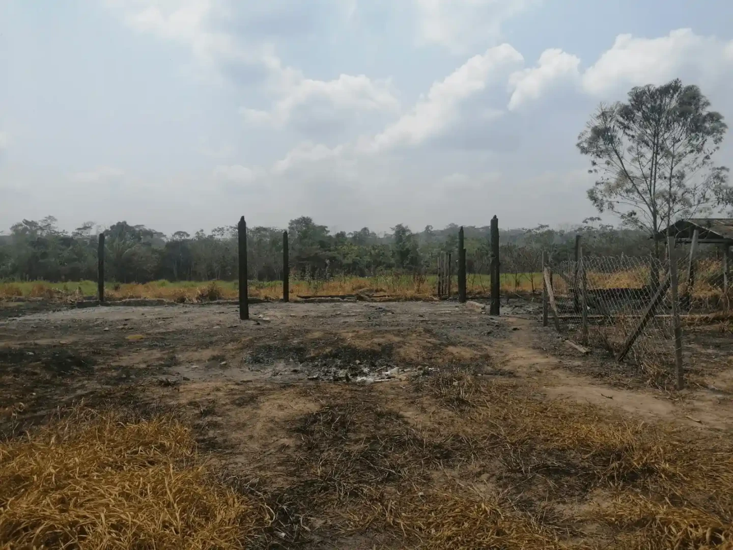 Huánuco: Incendios forestales destruyen ambientes de institución educativa en Puerto Inca