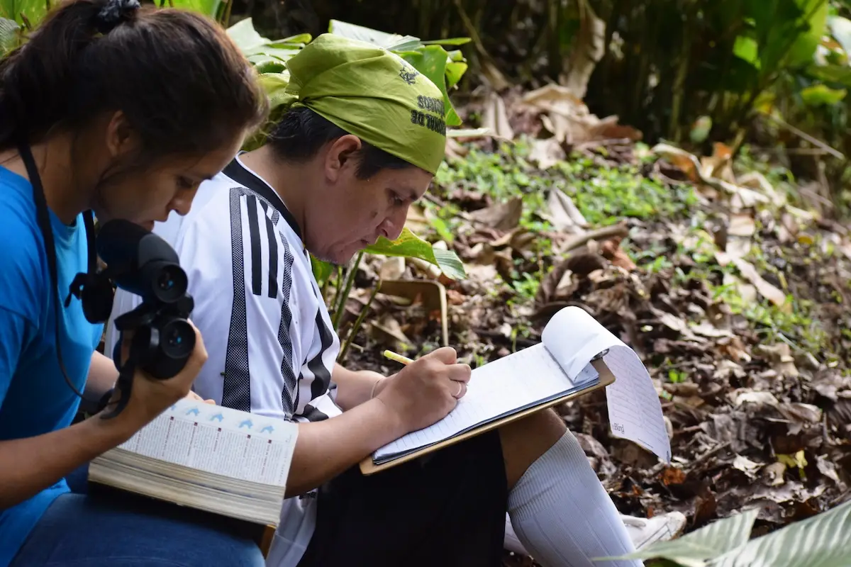Parque Nacional Tingo María se prepara para el October Big Day 2024