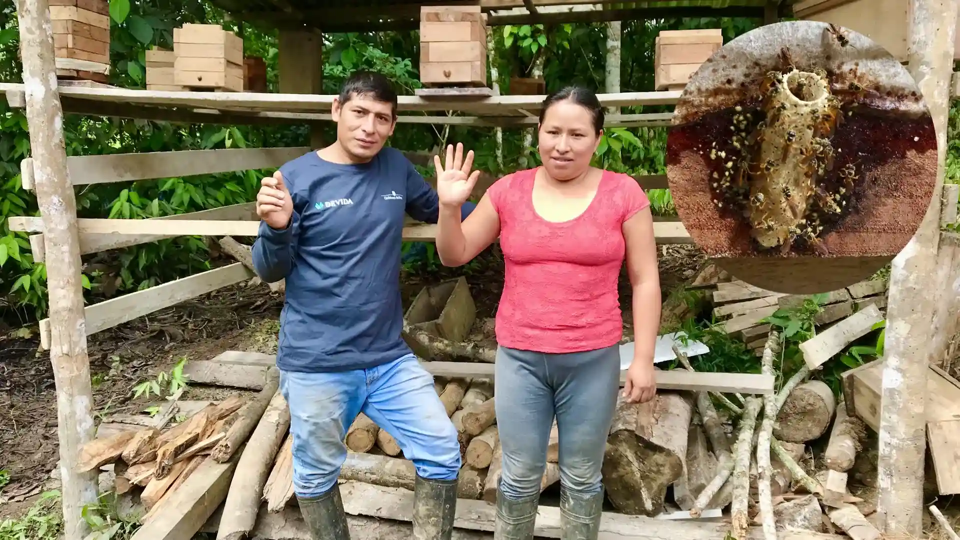 150 mujeres amazónicas se suman a la conservación de abejas sin aguijón