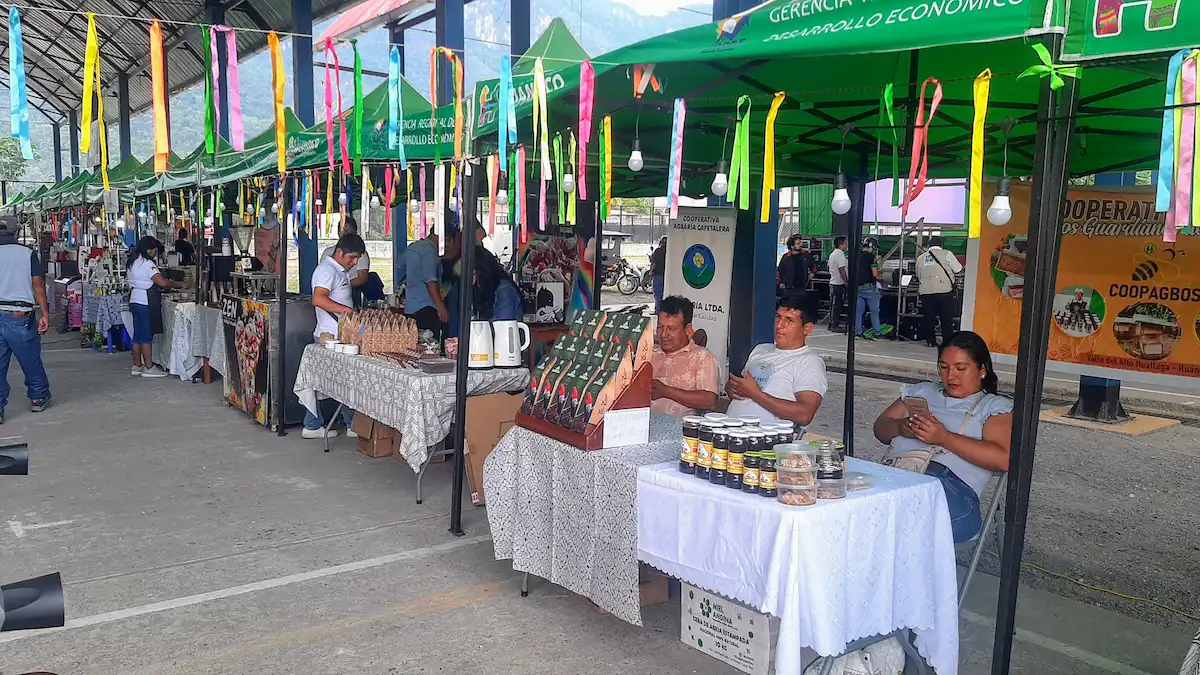 Inician actividades por Concurso Regional de Cafés Especiales del Alto Huallaga