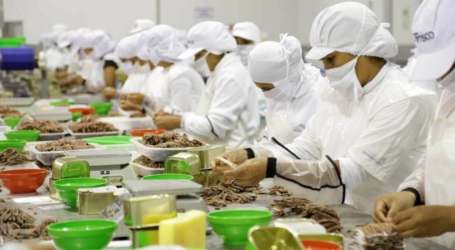 Dia-Mundial-de-la-Alimentacion--Como-pueden-las-empresas-reducir-el-desperdicio-de-alimentos.webp