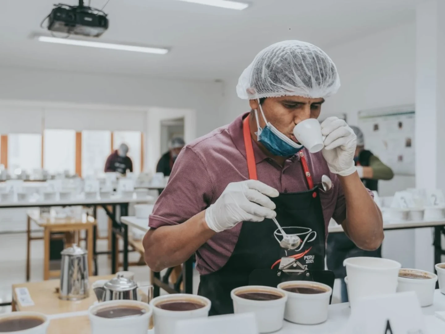 39 productores competirán en la VIII Taza de Excelencia