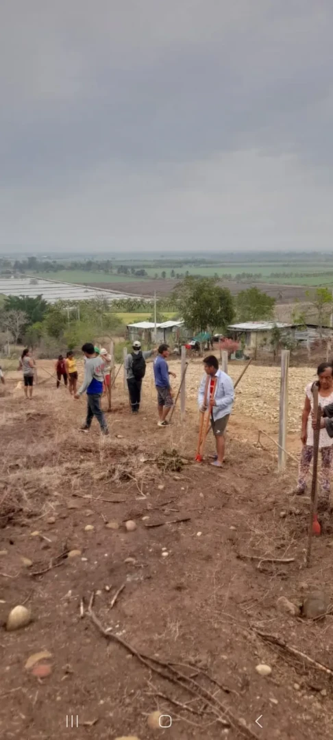 San Martín: Siembran árboles para combatir cambio climático