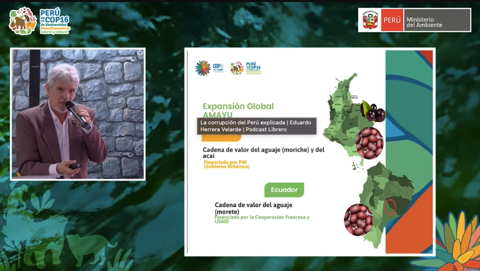 COP16--La-bioeconomia-como-herramienta-para-preservar-la-biodiversidad-y-el-caso-Amayu-I.webp