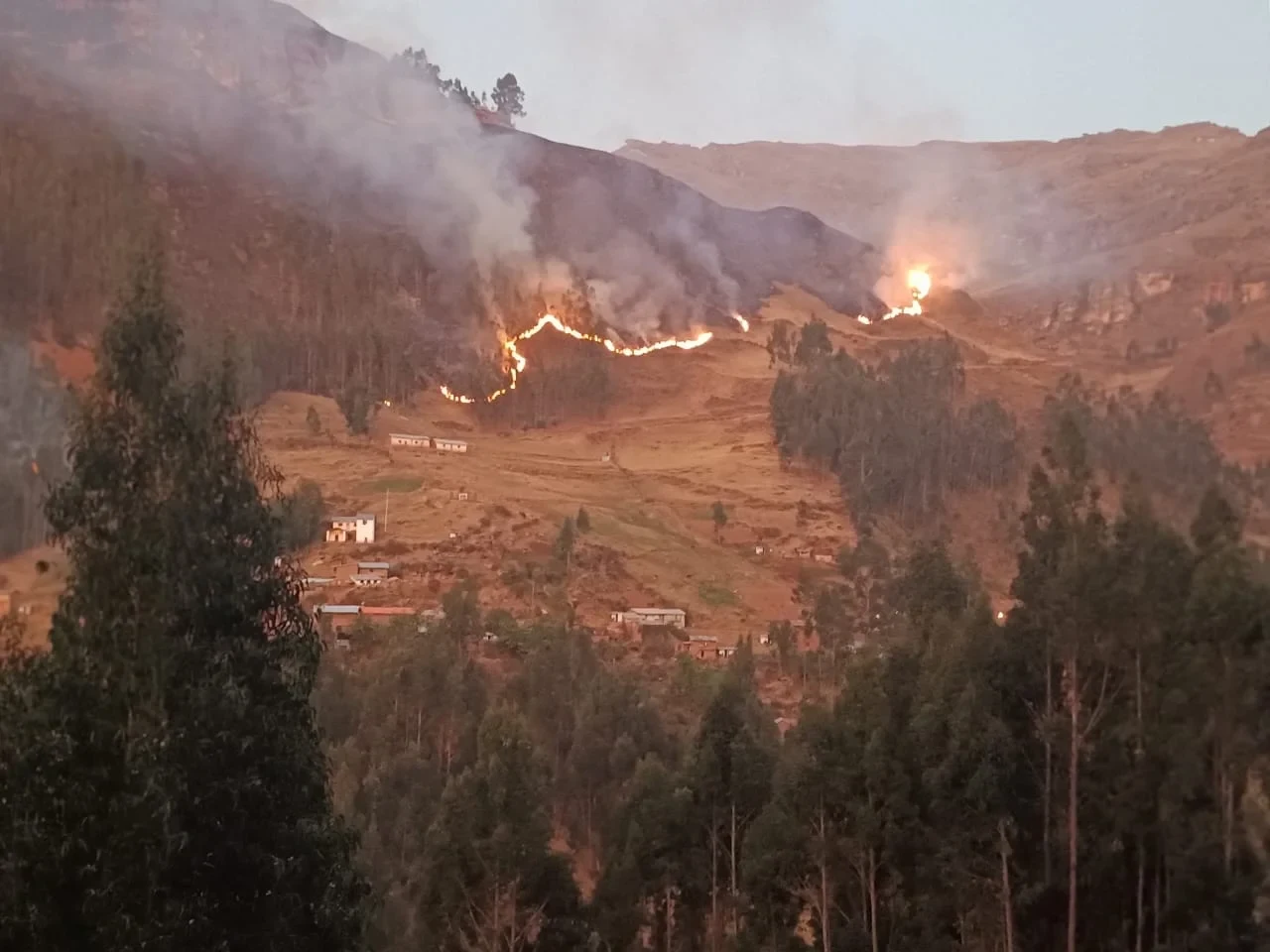 I-Otorgaran-subsidios-de-S_-500-mensuales-para-damnificados-por-incendios-forestales.webp