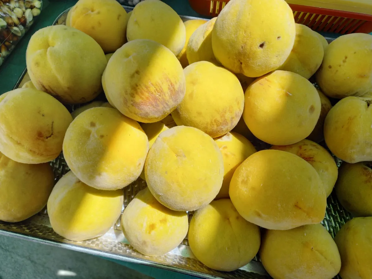 Asociación de Jacas Grande diversifica producción con melocotón y cereales andinos