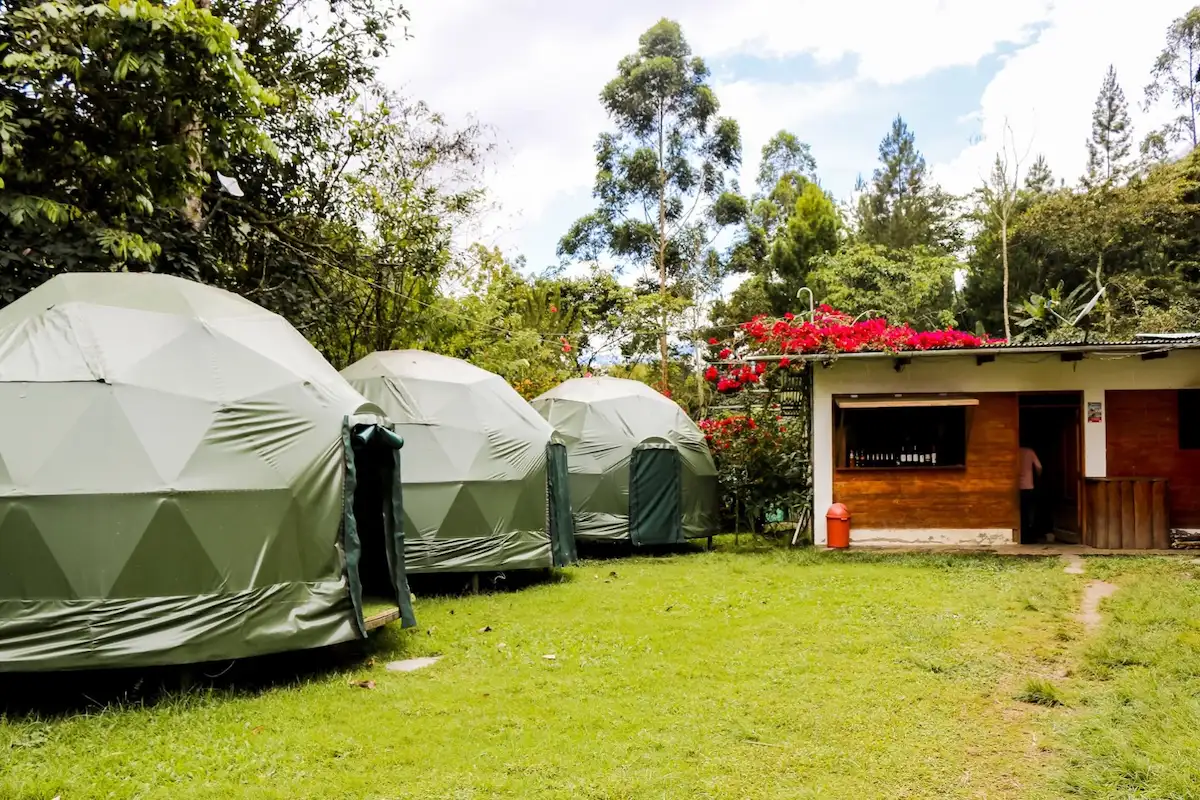 Flor de Café representará a las mujeres cafetaleras de Cusco en Ficafé