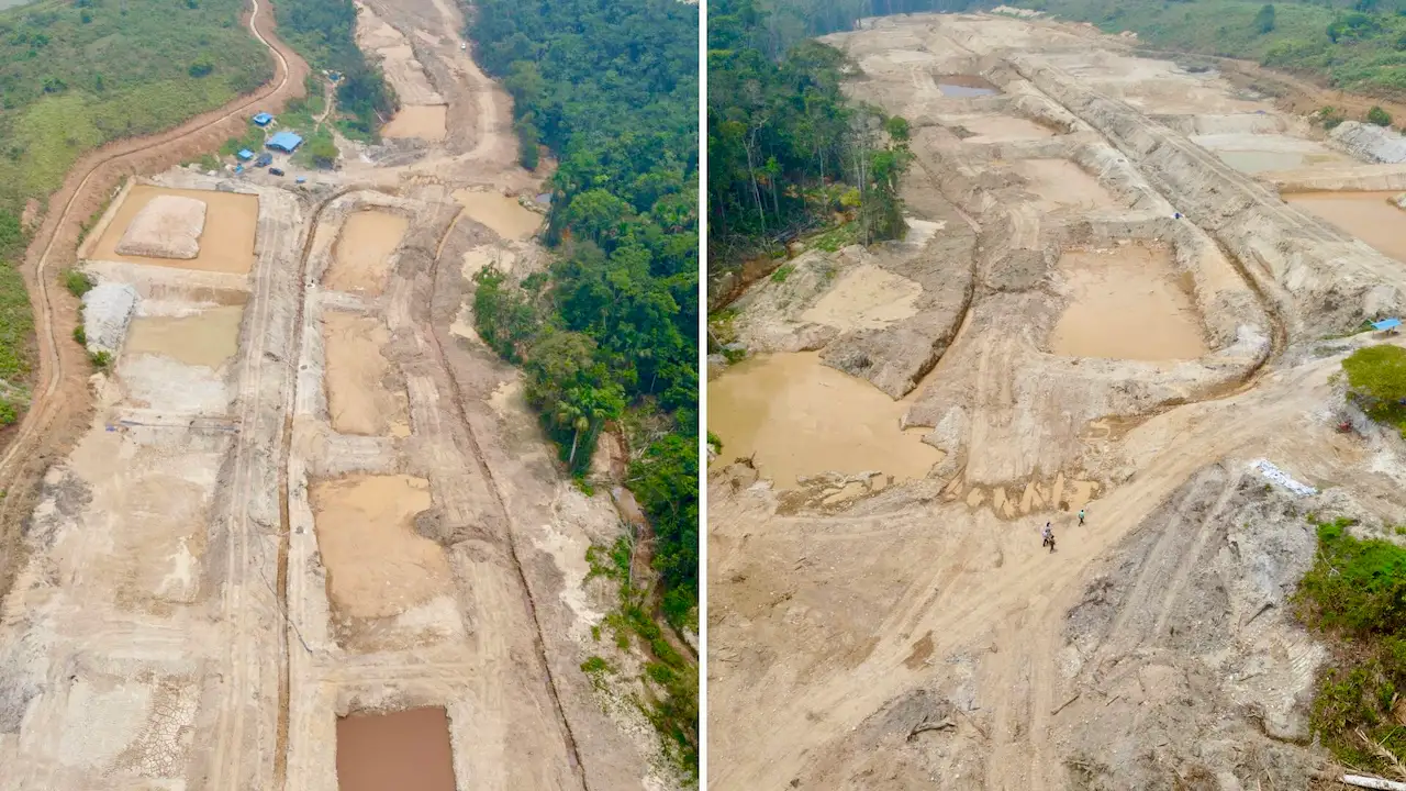 Tingo María celebra la Semana Forestal con actividades de reforestación en zonas afectadas por incendios