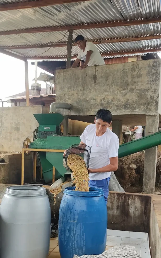 Café de la Cooperativa Sostenible Llaylla presente en la Ficafé