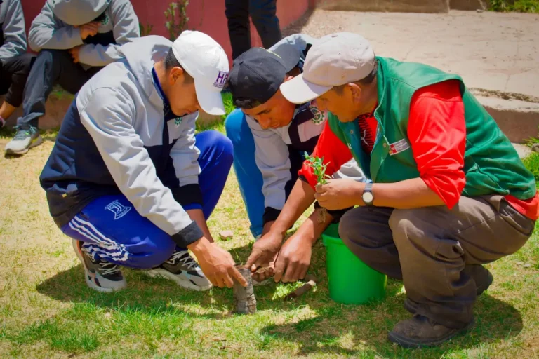 Inician Semana Forestal con siembra de 30 000 plantones en nueve regiones