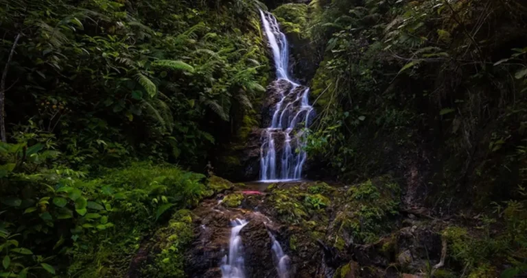 12 recomendaciones para visitar áreas protegidas durante el APEC