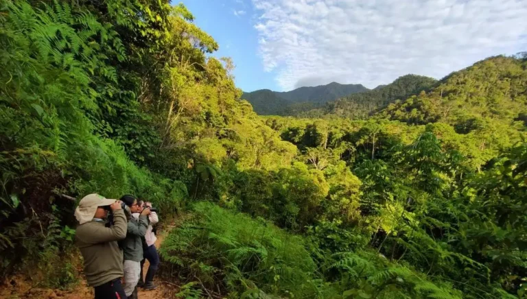 Claves para preservar la biodiversidad en Huánuco