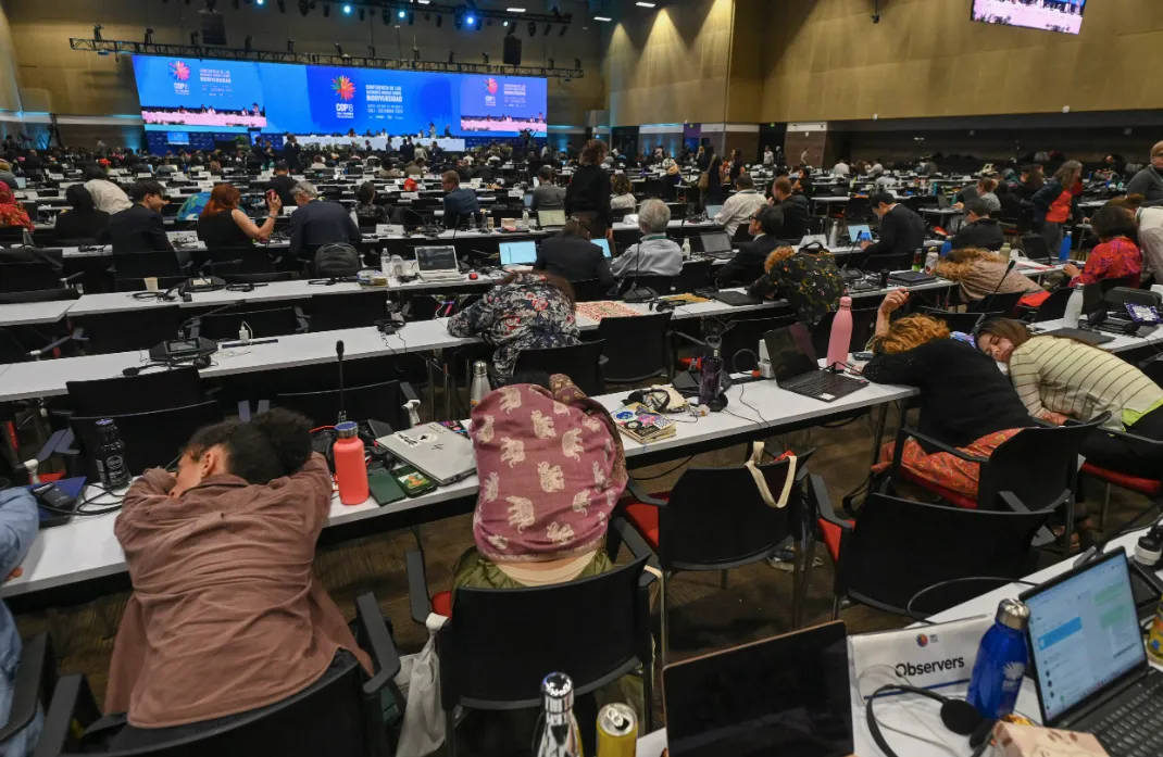 I-COP16--Falta-de-quorum-deja-en-el-aire-financiamiento-para-la-biodiversidad-I.webp