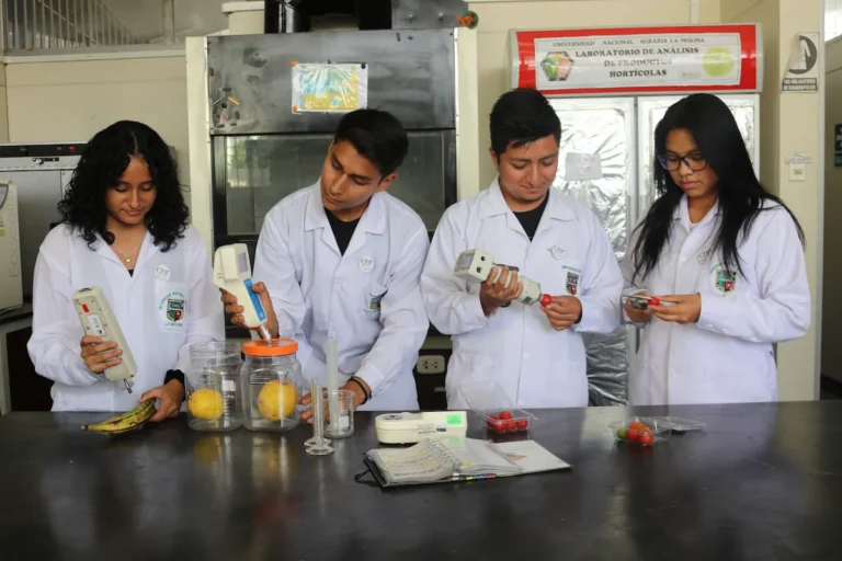 El alimento andino que podría erradicar la desnutrición