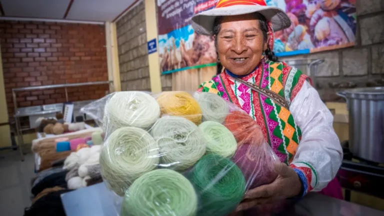 Productores alpaqueros de 10 regiones del país generarán ventas de S189 000 en evento en Lima