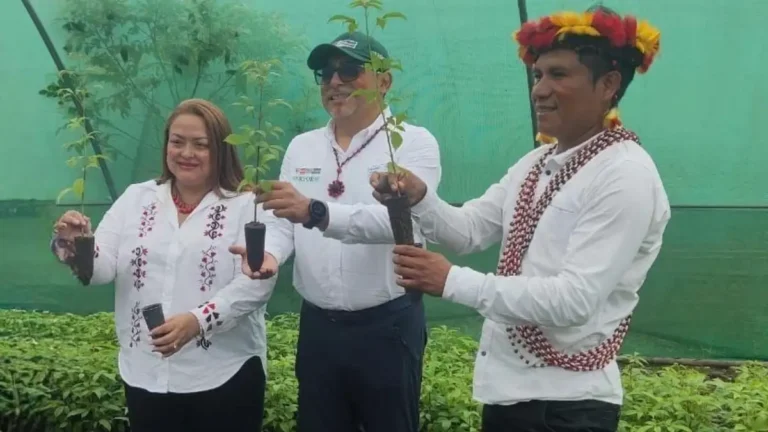 Entregan fondos de S742 500 a pueblo Awajún para desarrollo forestal