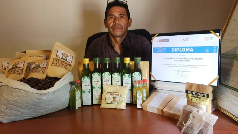 Cooperativa de Sachicultores obtiene sello por producción libre de trabajo infantil