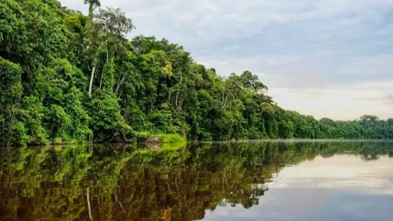 Amazonía peruana necesita un plan de desarrollo