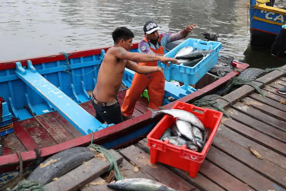 Pescadores rechazan cambios en la Ley 31749 y defienden la pesca artesanal