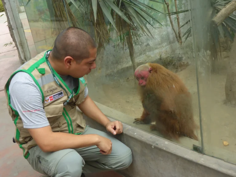 Zoo de Huancayo afronta proceso administrativo por incumplir plan de manejo de fauna