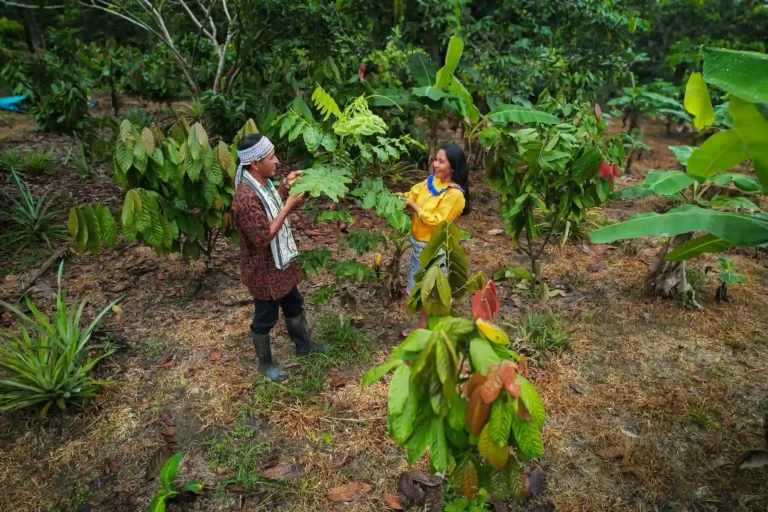 Flor de Ucayali: La comunidad indígena que transformó una multa en un modelo de conservación