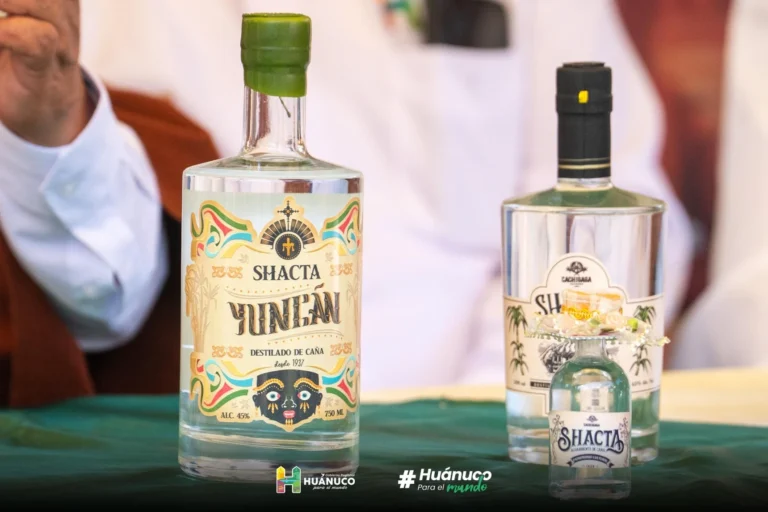 Festival de la Shacta: Huánuco celebra su bebida ancestral