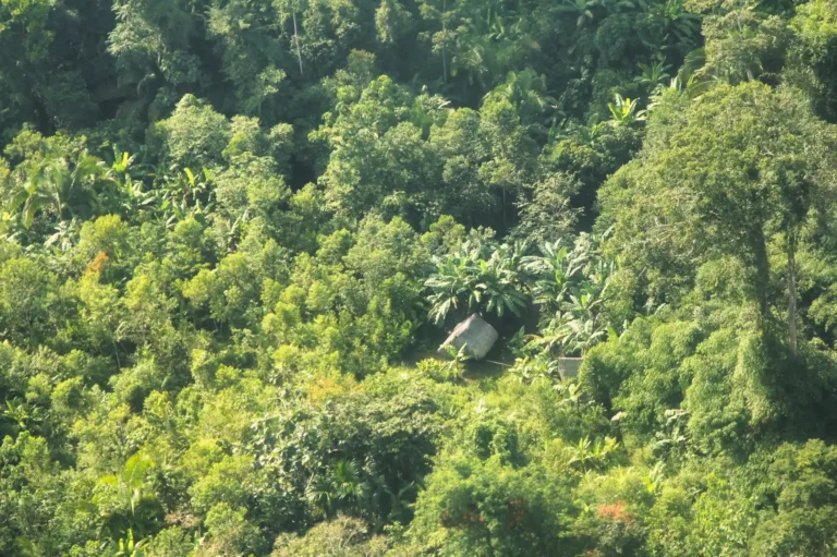 Retroceso en protección de los PIACI: Gobierno niega categorización de  Reserva Yavarí Mirim en Loreto pese a evidencias