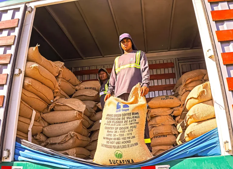Mujeres cafetaleras de Amazonas concretan primera exportación internacional