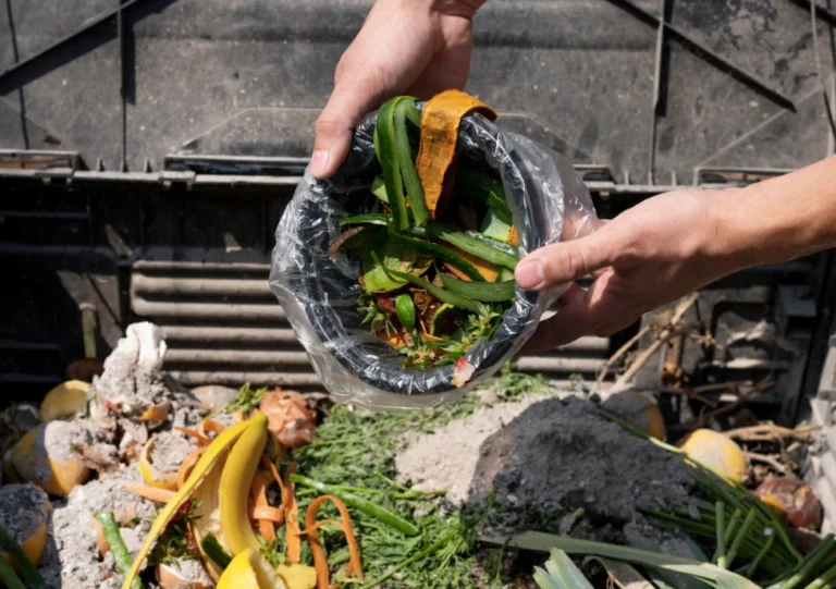 ONU alerta: Un tercio de los alimentos se pierde o desperdicia, mientras millones pasan hambre