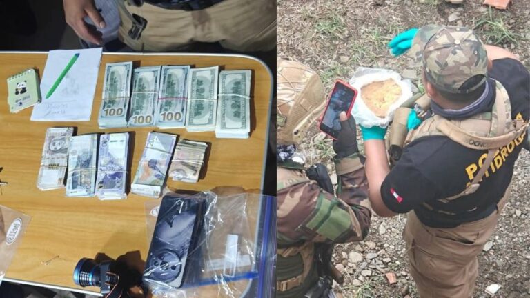 Desarticulan bandas de narcotráfico que operaban en la región Puno