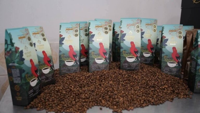 Café puneño obtiene reconocimiento internacional en Francia