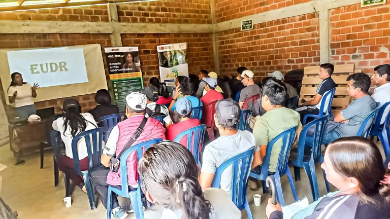 Cacao y café: Nueve regiones reciben asistencia para exportar productos libres de deforestación