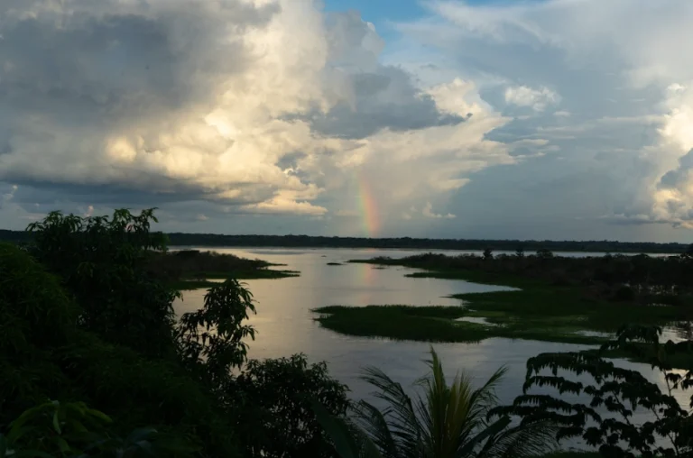 ¿Tu idea protege la Amazonía? Obtén financiamiento para tu proyecto sostenible