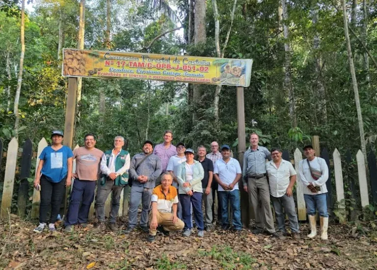 Perú y Alemania consolidan alianzas para fortalecer la gestión forestal sostenible