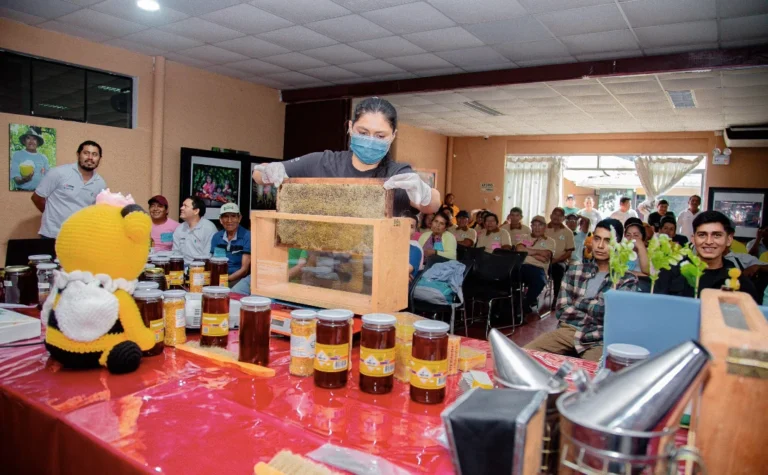 Alto Huallaga celebró el Día del Apicultor Peruano con jornada técnica y concursos