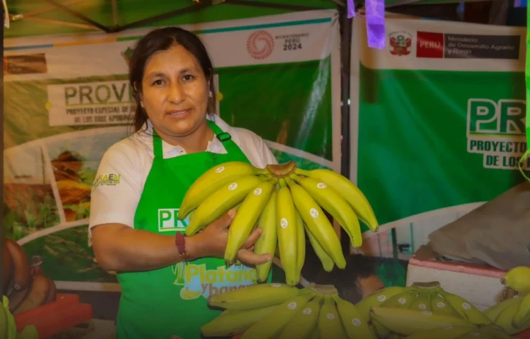 Castillo Grande acoge el III Festival Regional del Plátano y Banano