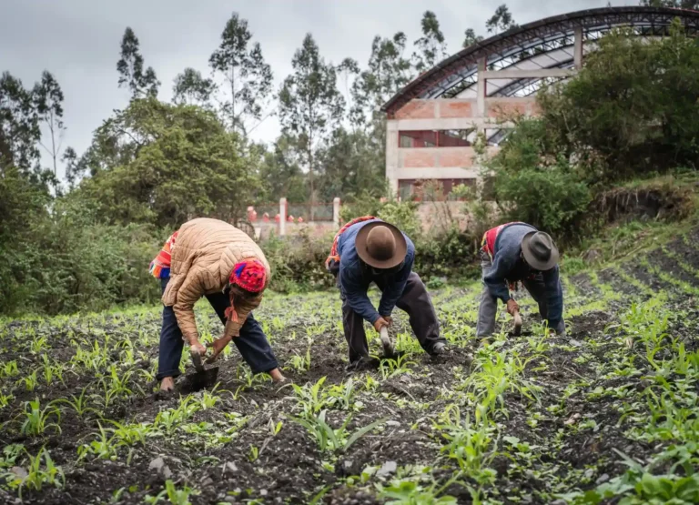 Abren postulación para iniciativas sostenibles que enfrenten el cambio climático en zonas altoandinas