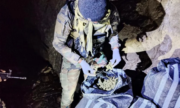 Incautan 220 kilos de marihuana en operativo en Huánuco