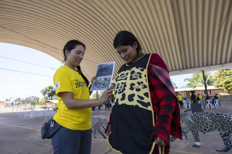 El jaguar y la castaña se convierten en símbolos de conservación en Madre de Dios