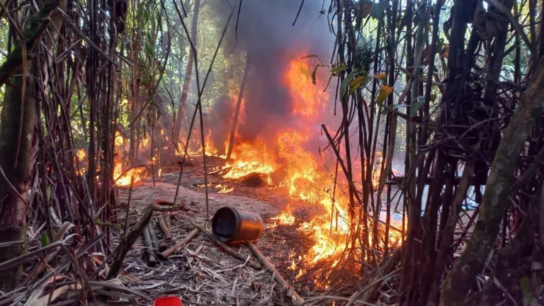 Destruyen laboratorios de droga que operaban con el “método colombiano” en Ucayali