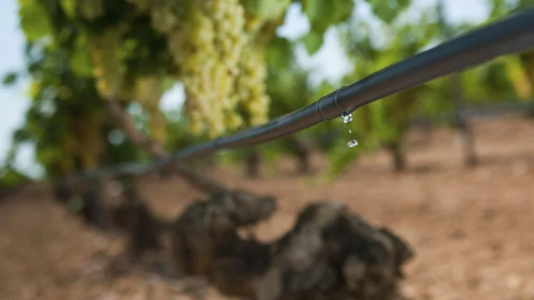 Agricultura peruana frente al cambio climático: El riego tecnificado como camino a la resiliencia